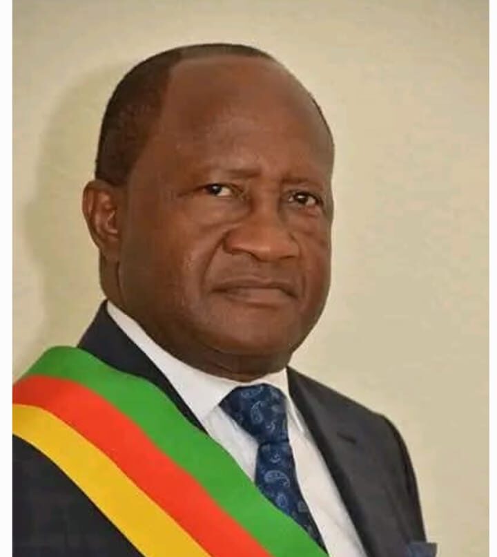 Cameroun : Nouvelle ère à l'Assemblée nationale avec l'élection de ...
